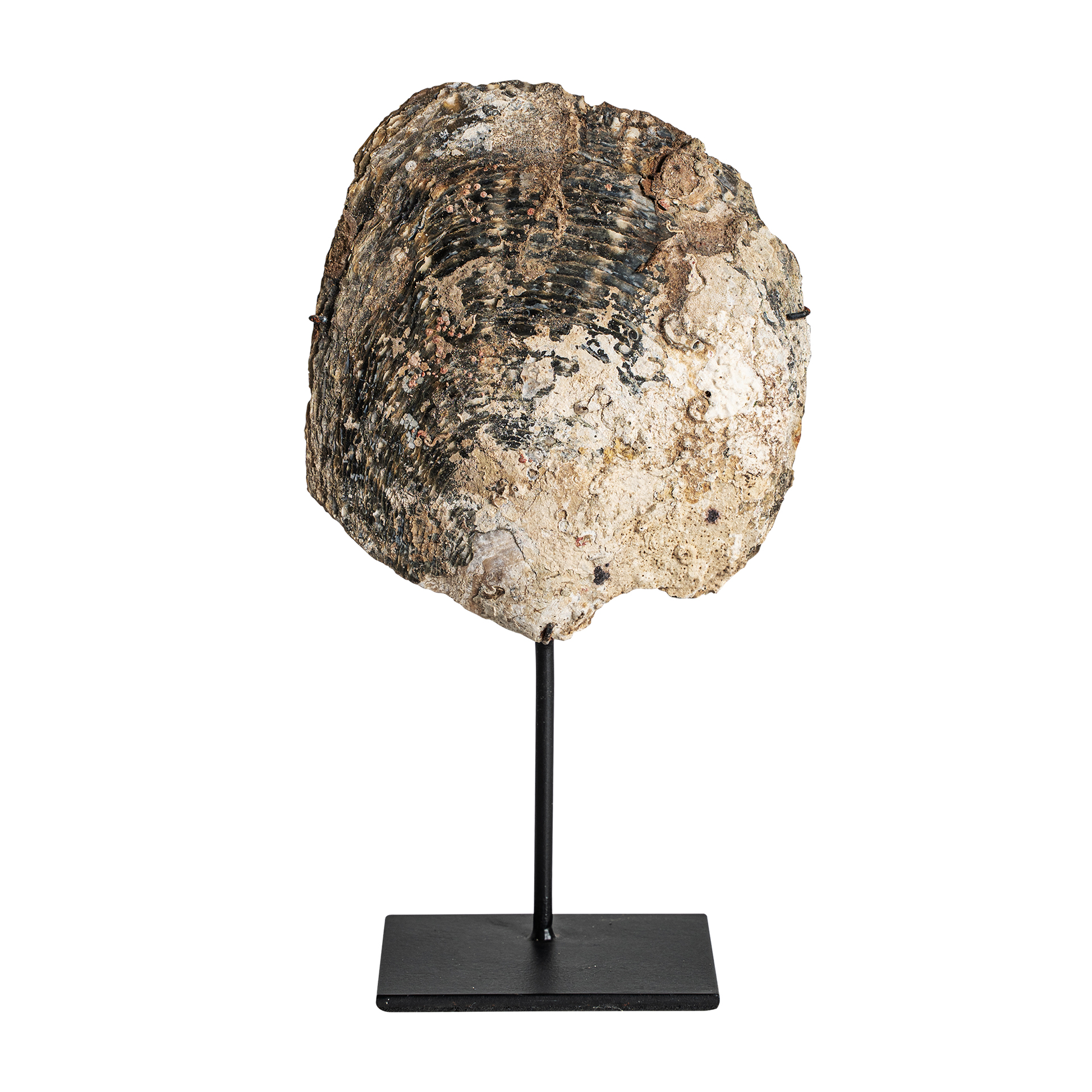FIGURA DECORATIVA